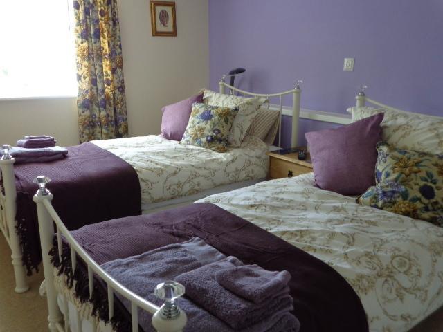 Lodge House B&B Buckland St Mary Rom bilde