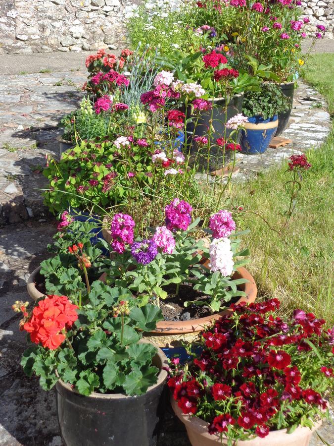 Lodge House B&B Buckland St Mary Eksteriør bilde